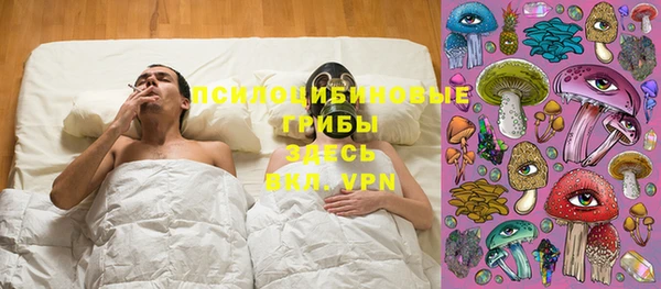 хмурый Осинники